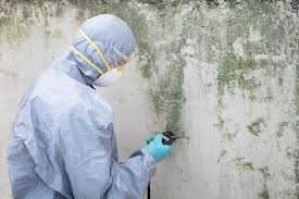 Best Mold Remediation for Healthcare Facilities  in Tyrone, PA